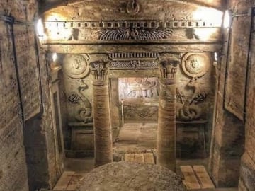 Alexandria Private tour from Cairo-10%to stray animals of Egypt