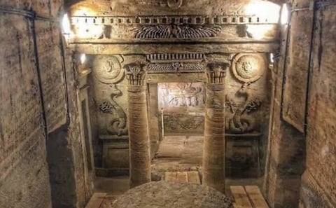 Alexandria Private tour from Cairo-10%to stray animals of Egypt
