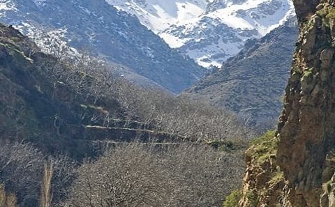 Hidden Morocco — Atlas and Berber Trails from Marrakech