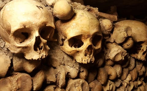 Explore the Paris Catacombs on a Guided Day Trip