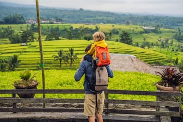 Bali Rice Terraces and Beratan Lake Full-Day Tour