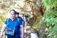 Skywalk & Rabacal "25 Fountains Levada Walk" in Open Roof 4x4 Full Day Tour 8
