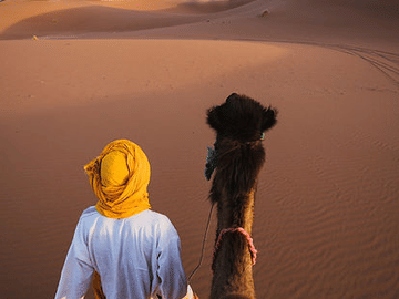 Desert Safari and Quad Biking Adventure in Hurghada