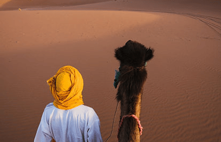 Desert Safari and Quad Biking Adventure in Hurghada