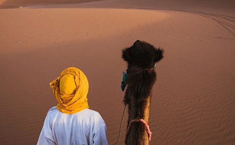 Desert Safari and Quad Biking Adventure in Hurghada