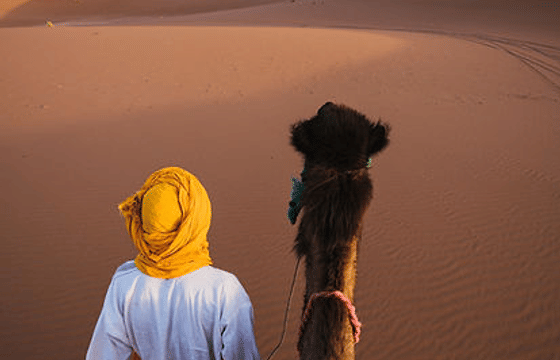 Hurghada VIP Desert safari