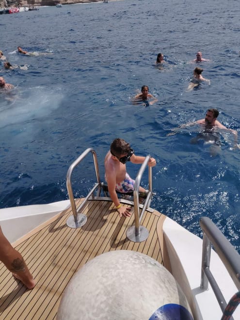 Whale Watching Catamaran in Costa Adeje photo 3