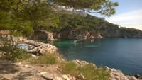 Hike with a Calanque expert 4