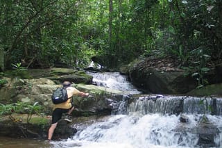 Chiang Mai 24km Suthep National Park Hiking & DH Mountain Biking