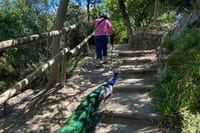Half Day Private Tour to Botanical Garden in Chania 5