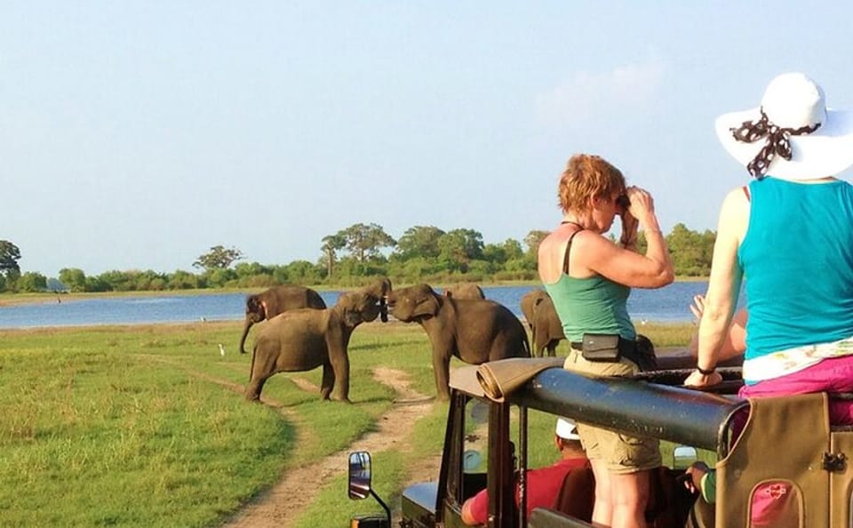 8-Day Private Wildlife Viewing and Chimpanzee Tracking in Uganda