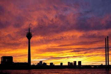 Cologne to Düsseldorf: Private Guided Cultural Tour
