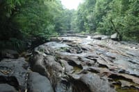 Full-Day Kitulgala White Water Rafting Tour from Colombo 9
