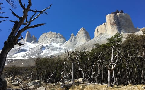 Trekking Tour of French Valley and Grey Glacier in Torres del Paine
