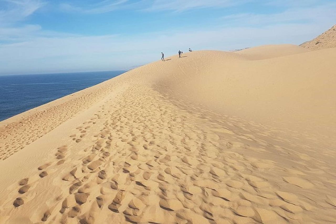 Paradise valley & Sand dunes - daily trip 8