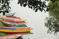 Negombo One Day Trip from Colombo 5
