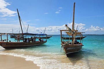 8 days of Safari and Beach Holiday In Tanzania and Zanzibar