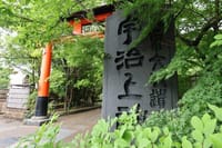 Kyoto Uji Matcha Morning Tour with English Speaking Guide 4