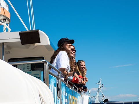 Best Value Whale Watching tour from Reykjavik, photo 13