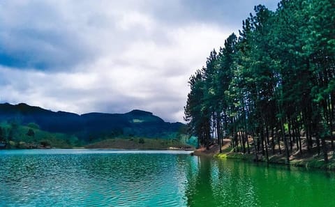 ATV Safari and Nature Tour at Sembuwatta Lake, Sri Lanka