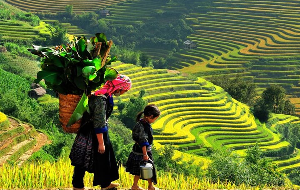 From Hanoi: 3-Days Sapa Trekking and Bus Tour from Hanoi