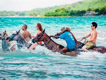 Horseback Riding & swim in the ocean