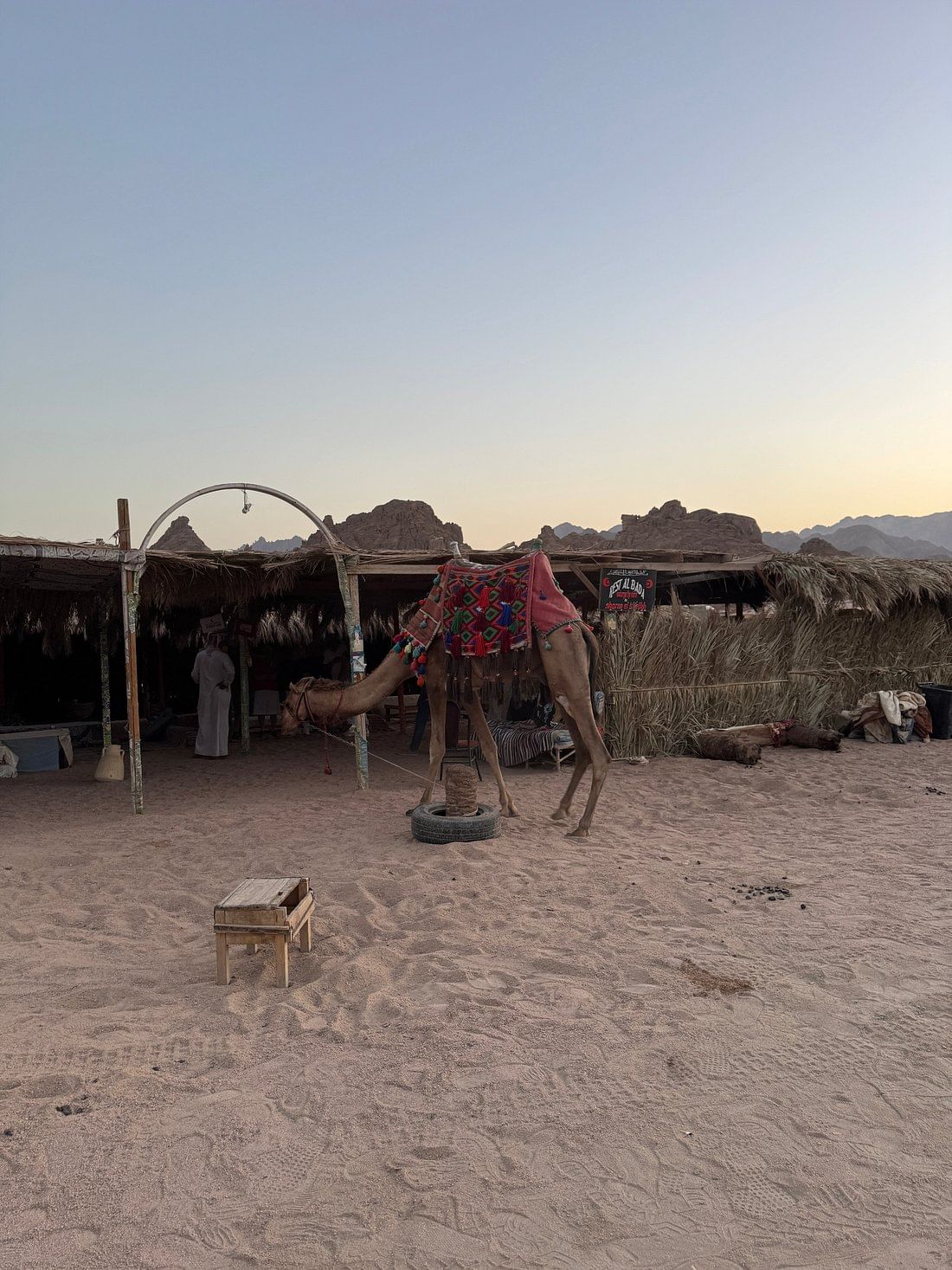Sharm el Sheikh: ATV, Camel Ride, BBQ Dinner & Show
