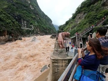 Lijiang: Naxi Home-Cooking Class & Local Market Tour with Tibet Milk Tea