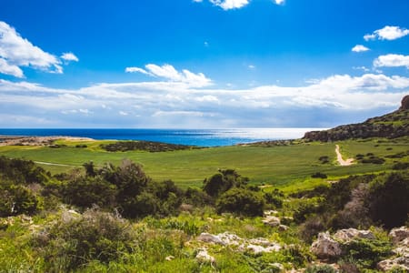 Mistra Valley & Selmun Nature Walk: Scenic Tour of Malta’s Flora