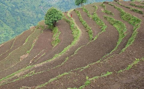 5-Day Cultural Homestay Hike in Barpak Village, Nepal