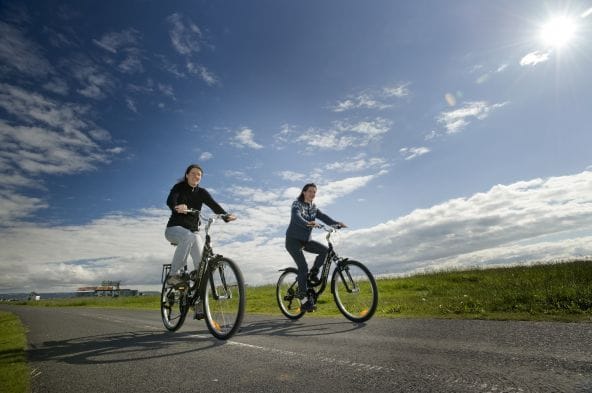 Reykjavík Whales & Bikes photo 3