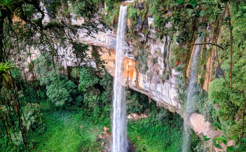 Ahuashiyacu Waterfalls Tour in Tarapoto, Peru