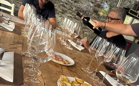 Private Chianti Tour from Florence with Lunch and Wine Tasting
