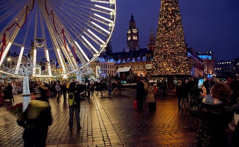 Lille 3-Hour Walking Tour of Christmas Market and Culture