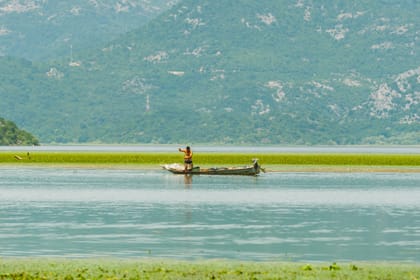 From Virpazar: Semi-private Sightseeing Lake Skadar Boat Tour with Wine