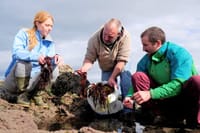 Food tasting and cultural tour Inishmore, Aran Islands. Private guided 3