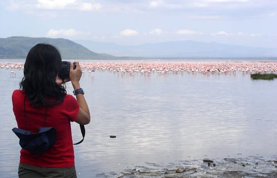 3 Days Lake Bogoria, Naivasha and Nakuru Park