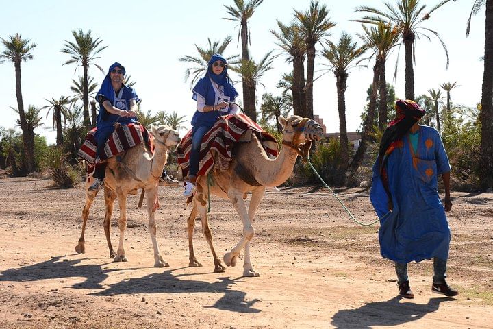Marrakech Desert Camel Ride
