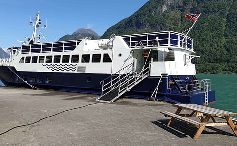 Whales & Waves: An Epic Marine Adventure Tour