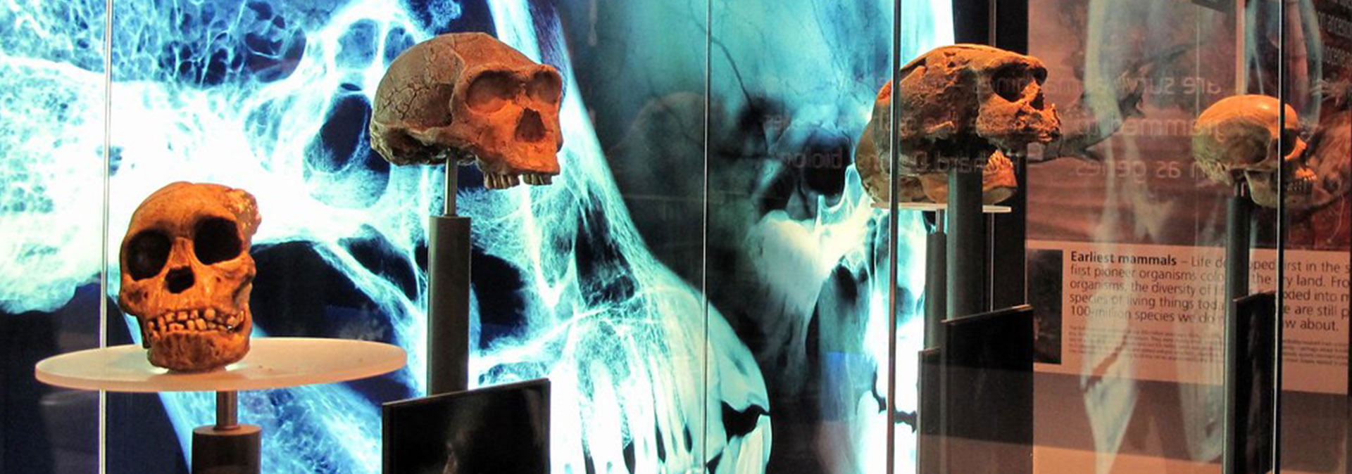 Journey through time at Maropeng, Cradle of Humankind & Sterkfontein Caves.