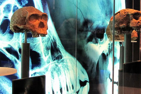 Journey through time at Maropeng, Cradle of Humankind & Sterkfontein Caves.