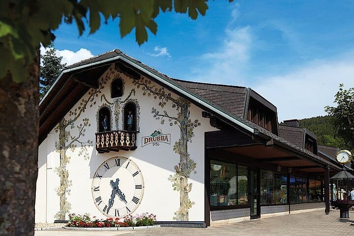 Full-Day Private Tour from Zurich to Lake Titisee Black Forest 4