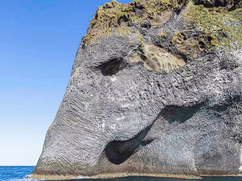 Vestmannaeyjar Day Tour, photo 3