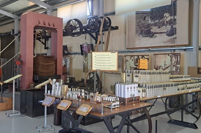 Olive Oil Mill Raki Distillery and Heraklion City Private Tour 4