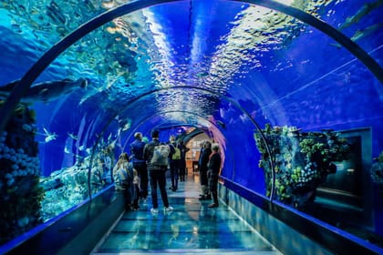 Get the Best Hurghada Grand Aquarium Tickets