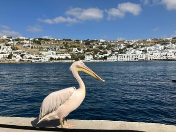Mykonos Island Highlights: 4-Hour Guided Tour and Walk
