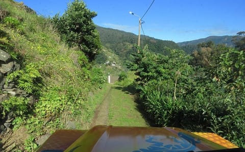 Half-Day 4X4 Tour of Traditional Farmers Market in Funchal