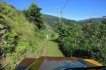 Half-Day 4X4 Tour of Traditional Farmers Market in Funchal