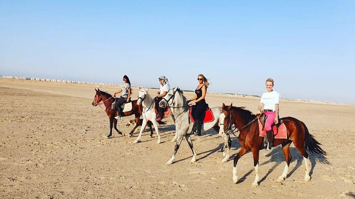 Premium 1 Hour Elite Desert Horseback Riding Adventure - Hurghada 9