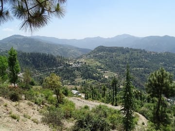 Private 4-Day Tour from Chandigarh to Shimla Hill Station